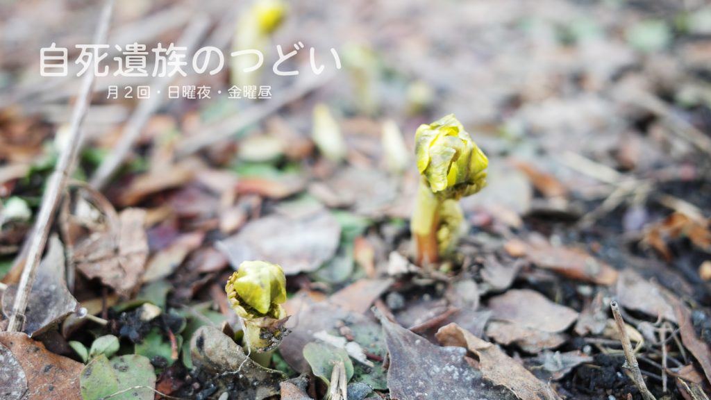 ぎんなんウェブ || 日蓮宗 隆光山 法永寺 || 青森県五所川原市