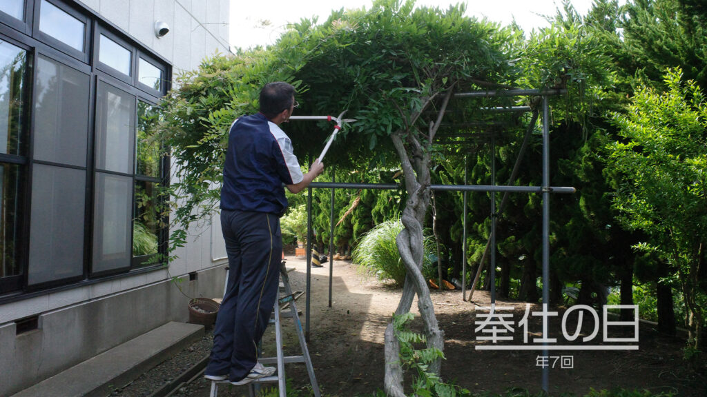 ぎんなんウェブ || 日蓮宗 隆光山 法永寺 || 青森県五所川原市