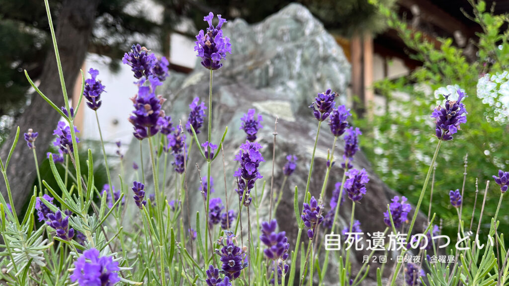 ぎんなんウェブ || 日蓮宗 隆光山 法永寺 || 青森県五所川原市