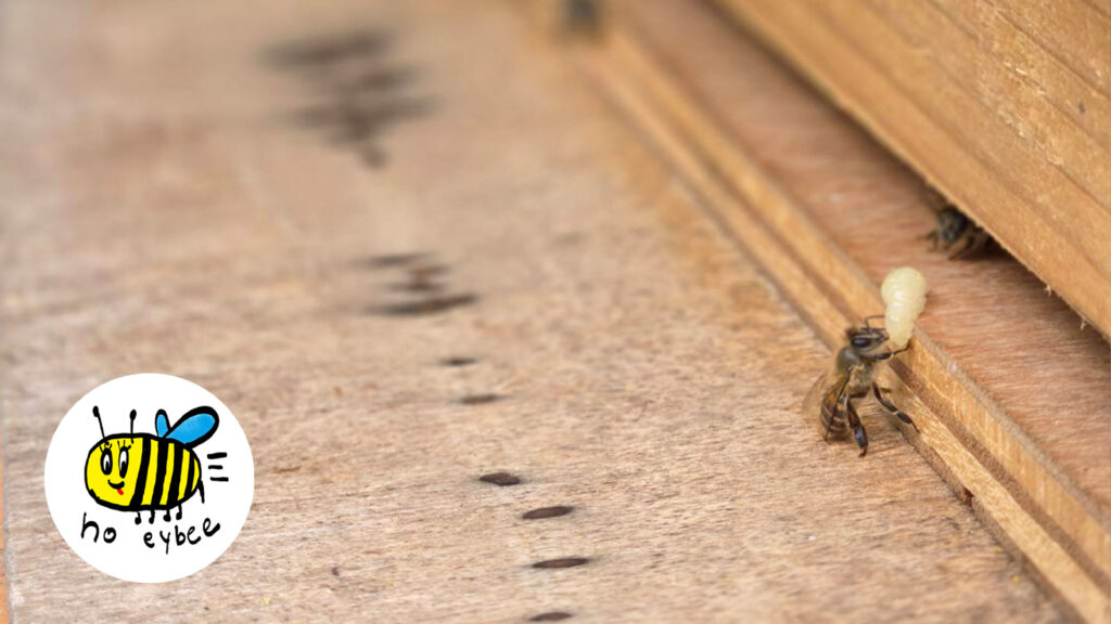 ぎんなんウェブ || 日蓮宗 隆光山 法永寺 || 青森県五所川原市