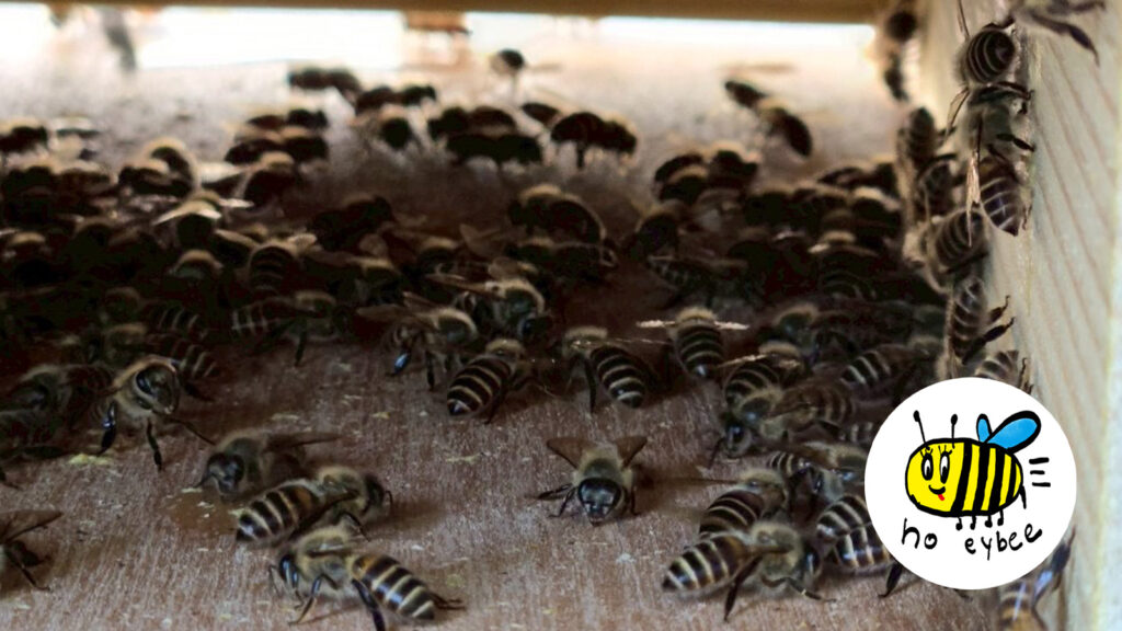 ぎんなんウェブ || 日蓮宗 隆光山 法永寺 || 青森県五所川原市