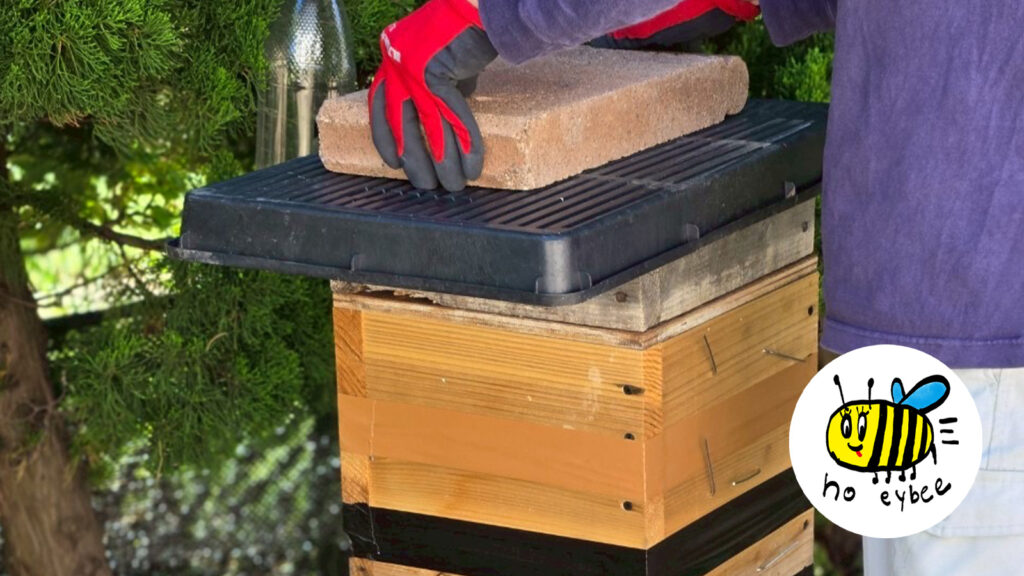 ぎんなんウェブ || 日蓮宗 隆光山 法永寺 || 青森県五所川原市