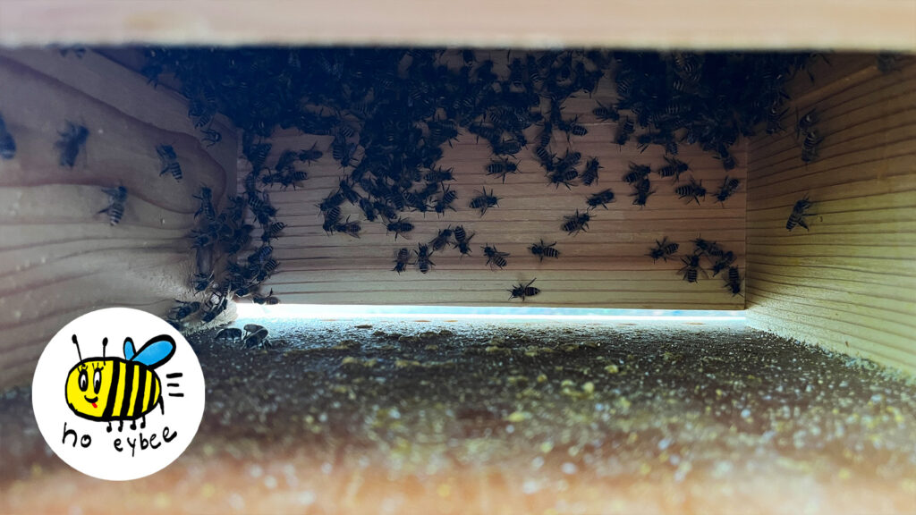 ぎんなんウェブ || 日蓮宗 隆光山 法永寺 || 青森県五所川原市