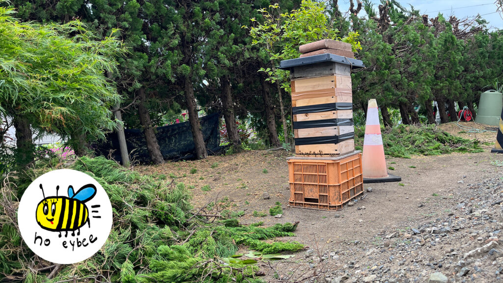 ぎんなんウェブ || 日蓮宗 隆光山 法永寺 || 青森県五所川原市