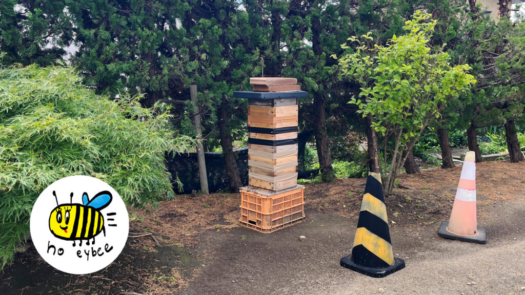 ぎんなんウェブ || 日蓮宗 隆光山 法永寺 || 青森県五所川原市