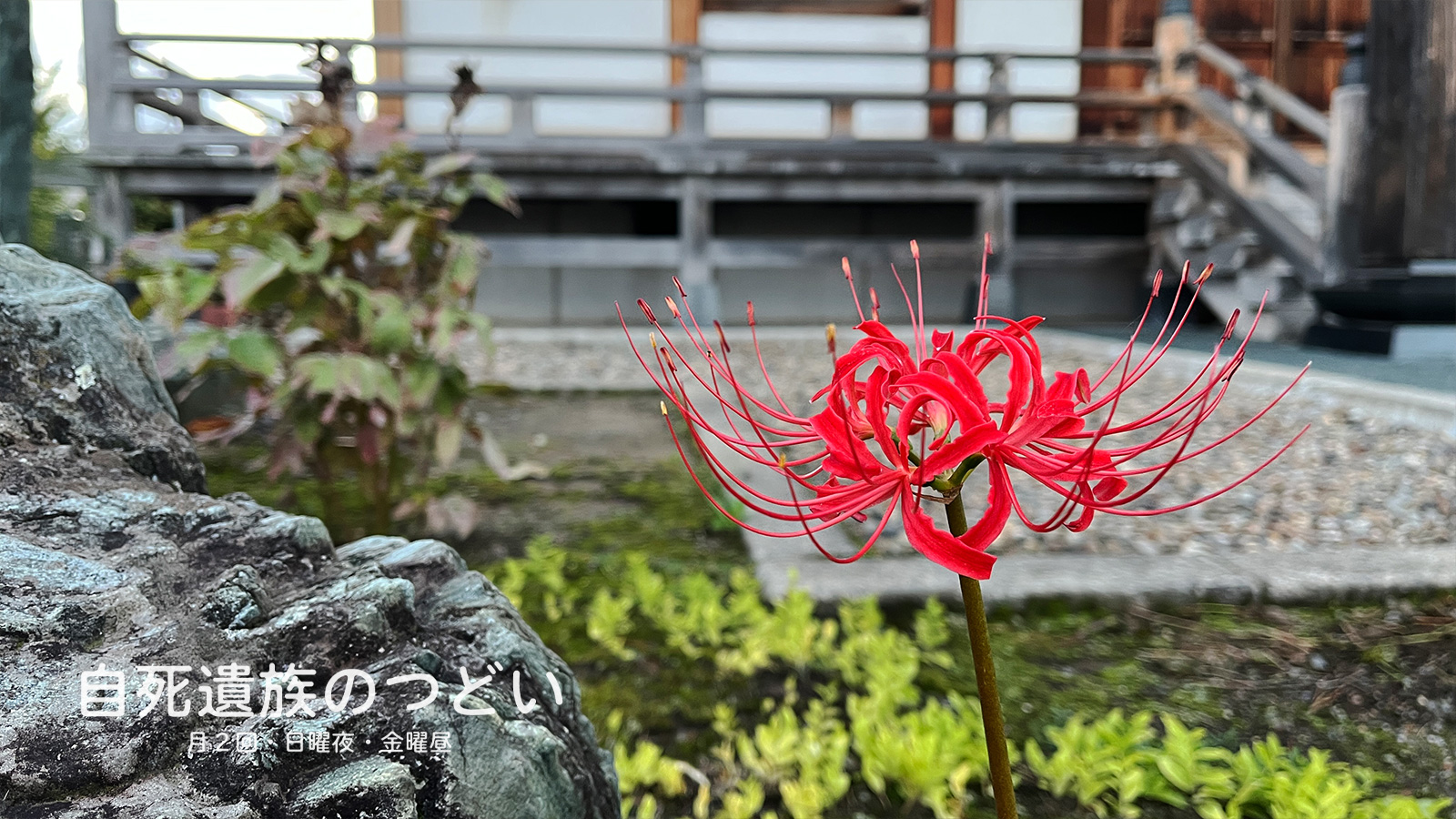ぎんなんウェブ || 日蓮宗 隆光山 法永寺 || 青森県五所川原市