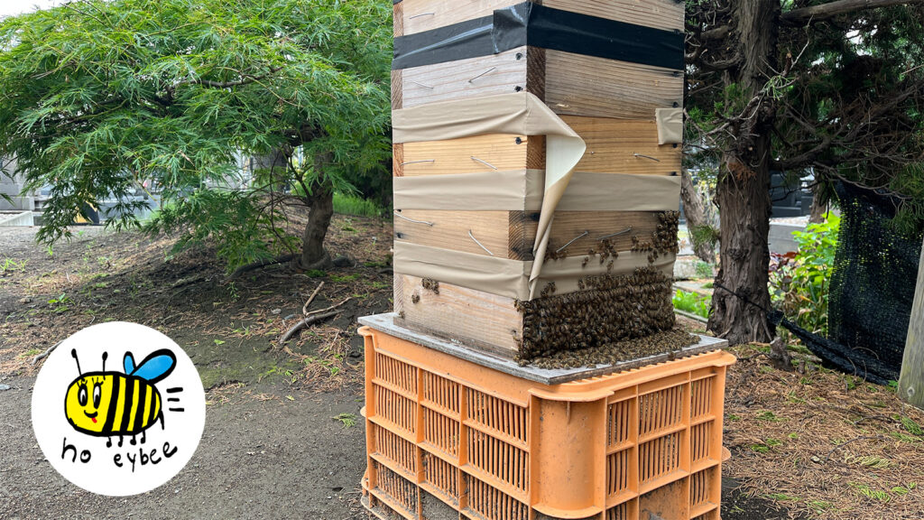 ぎんなんウェブ || 日蓮宗 隆光山 法永寺 || 青森県五所川原市
