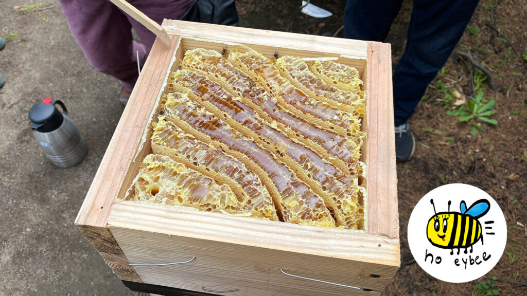 ぎんなんウェブ || 日蓮宗 隆光山 法永寺 || 青森県五所川原市