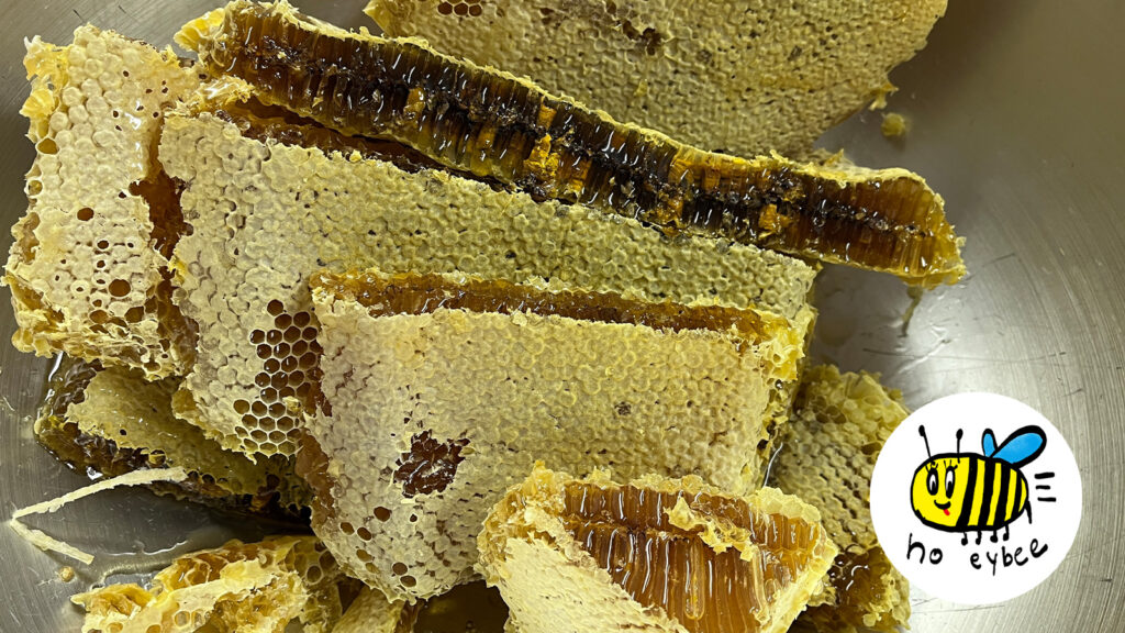 ぎんなんウェブ || 日蓮宗 隆光山 法永寺 || 青森県五所川原市