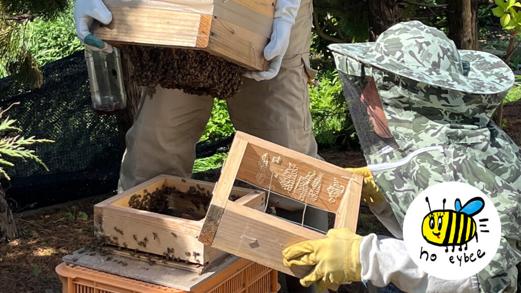 ぎんなんウェブ || 日蓮宗 隆光山 法永寺 || 青森県五所川原市