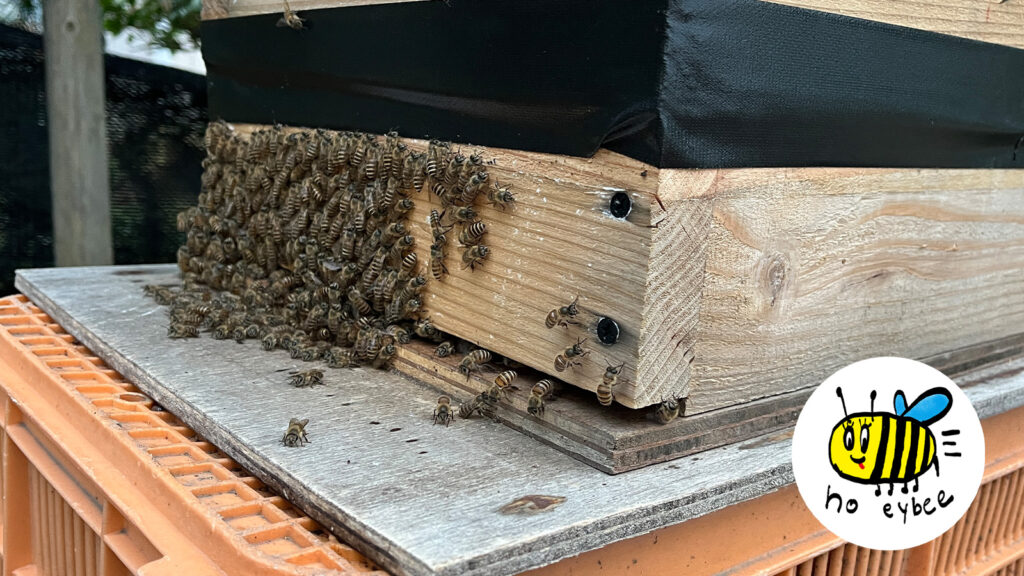 ぎんなんウェブ || 日蓮宗 隆光山 法永寺 || 青森県五所川原市