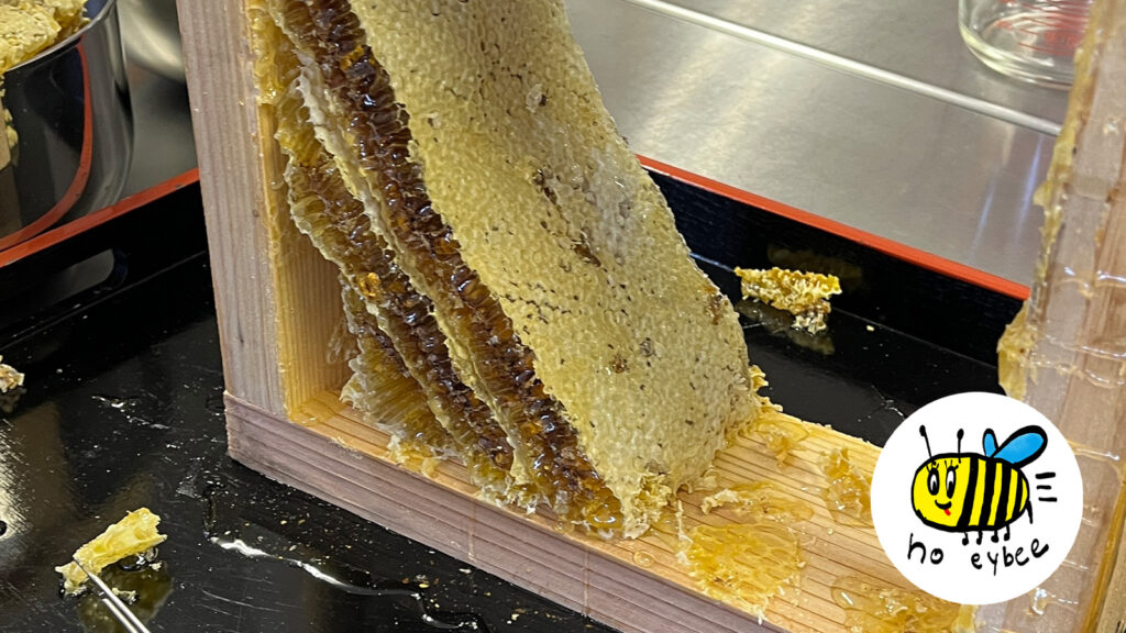 ぎんなんウェブ || 日蓮宗 隆光山 法永寺 || 青森県五所川原市