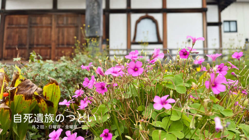ぎんなんウェブ || 日蓮宗 隆光山 法永寺 || 青森県五所川原市