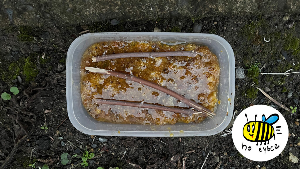 ぎんなんウェブ || 日蓮宗 隆光山 法永寺 || 青森県五所川原市