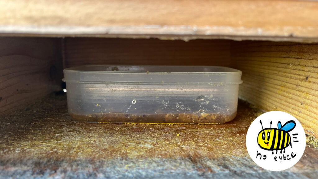 ぎんなんウェブ || 日蓮宗 隆光山 法永寺 || 青森県五所川原市