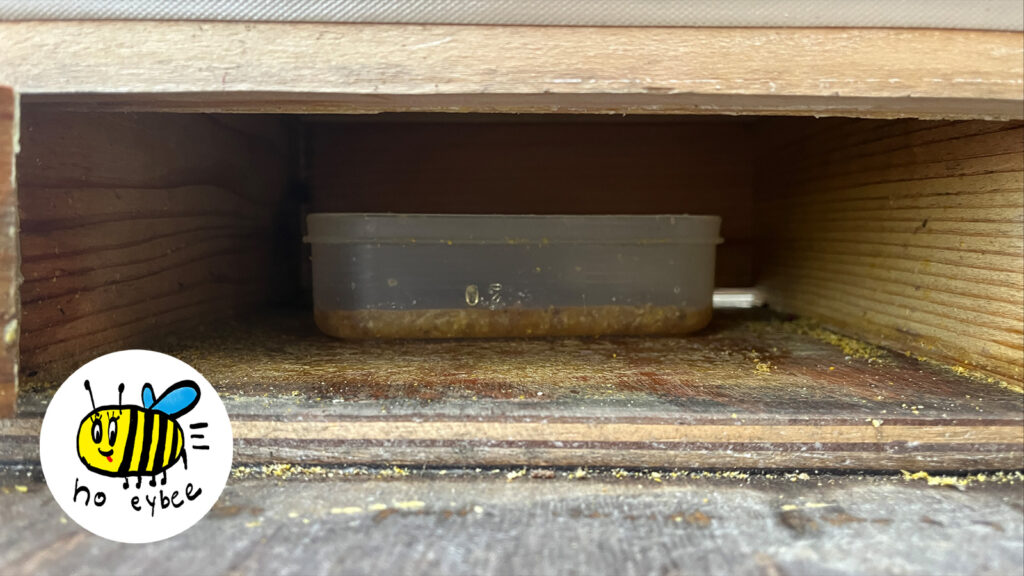 ぎんなんウェブ || 日蓮宗 隆光山 法永寺 || 青森県五所川原市