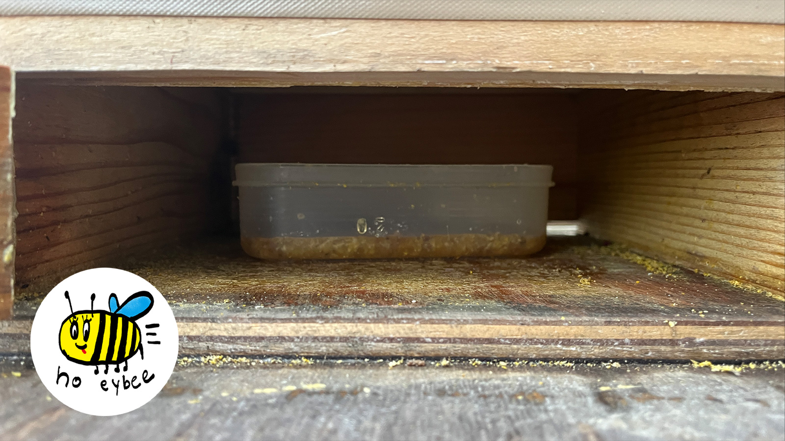 ぎんなんウェブ || 日蓮宗 隆光山 法永寺 || 青森県五所川原市