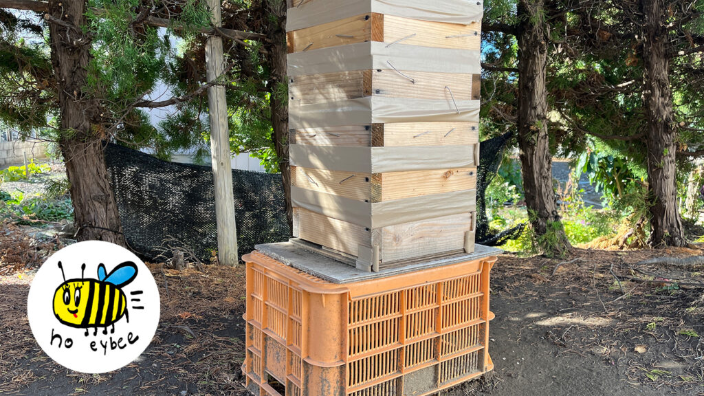 ぎんなんウェブ || 日蓮宗 隆光山 法永寺 || 青森県五所川原市