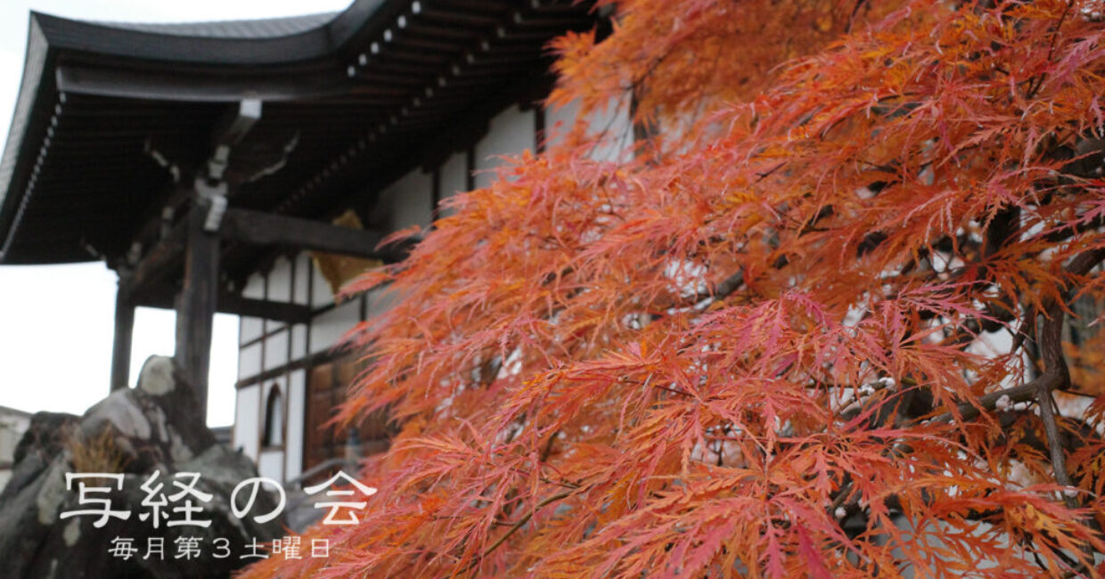 ぎんなんウェブ || 日蓮宗 隆光山 法永寺 || 青森県五所川原市