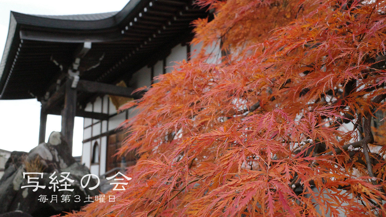 ぎんなんウェブ || 日蓮宗 隆光山 法永寺 || 青森県五所川原市