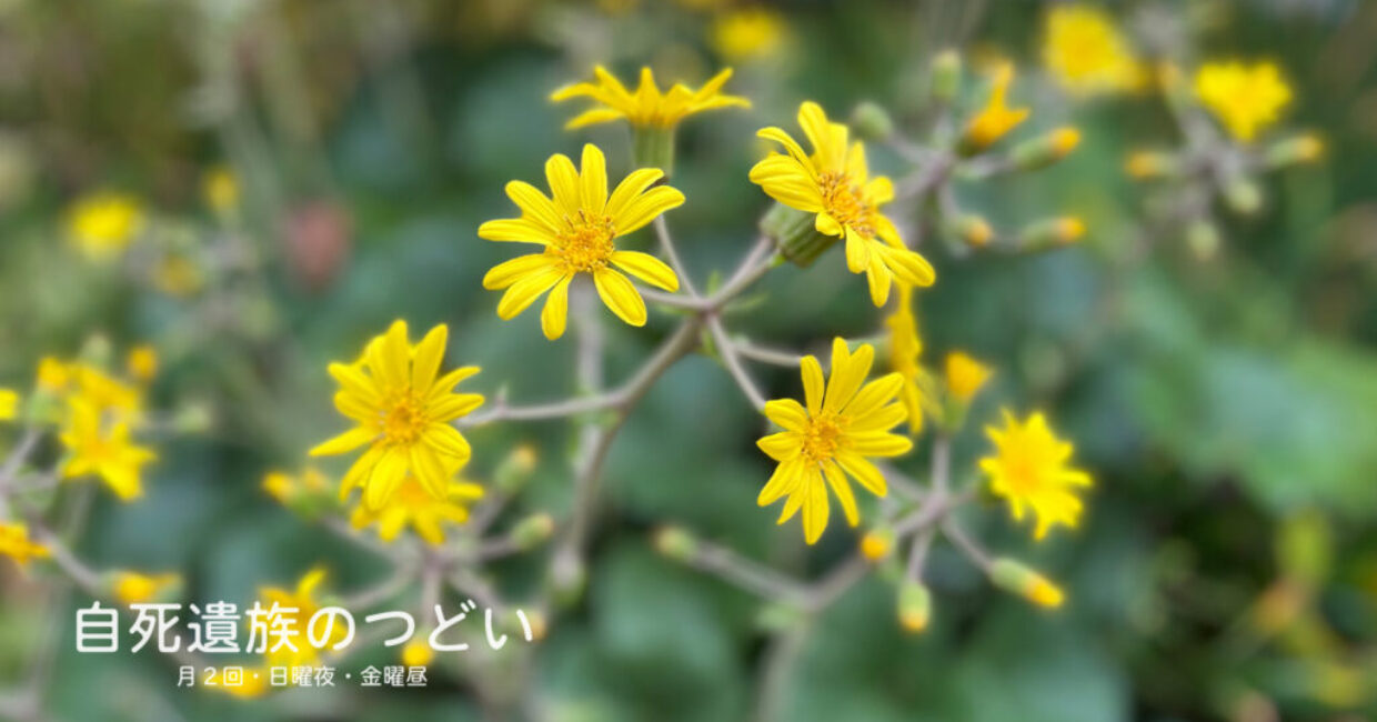 ぎんなんウェブ || 日蓮宗 隆光山 法永寺 || 青森県五所川原市