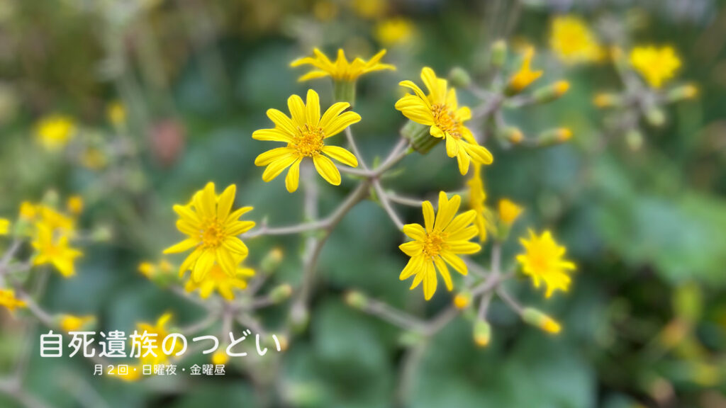 ぎんなんウェブ || 日蓮宗 隆光山 法永寺 || 青森県五所川原市