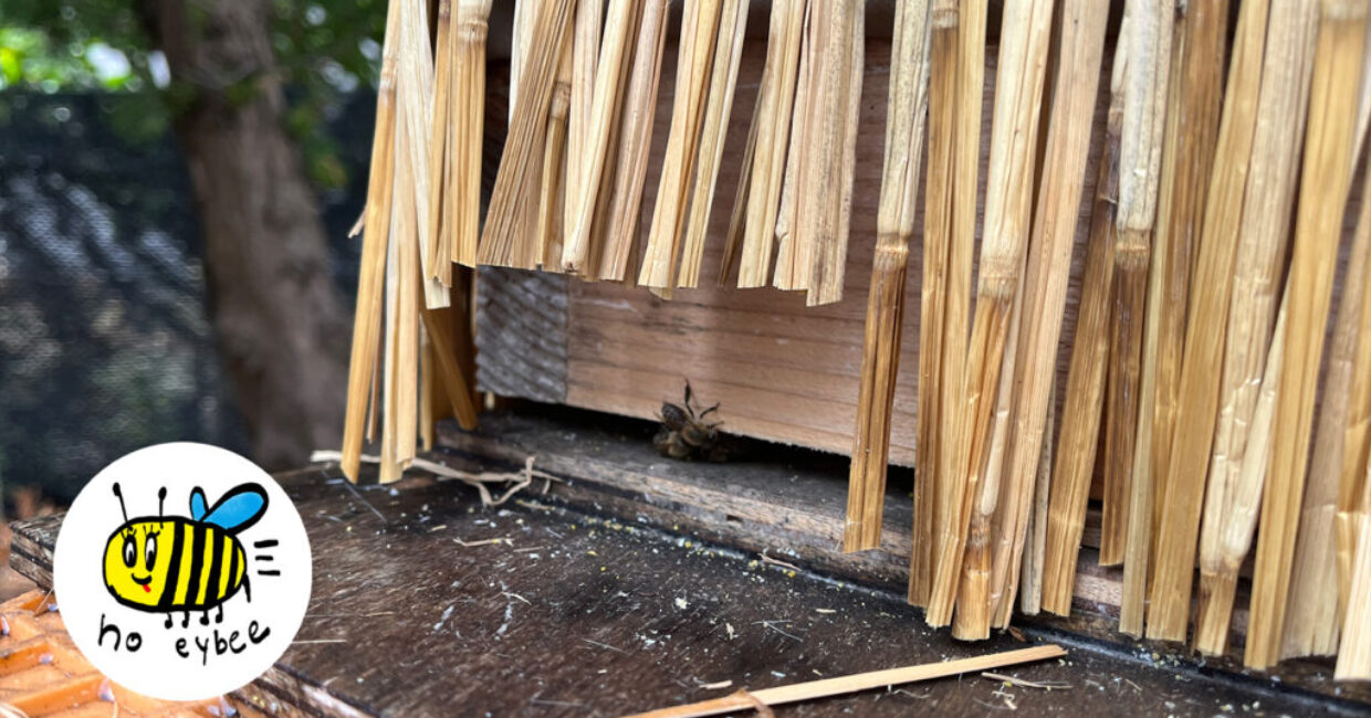 ぎんなんウェブ || 日蓮宗 隆光山 法永寺 || 青森県五所川原市