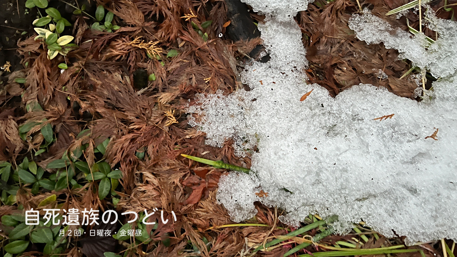 ぎんなんウェブ || 日蓮宗 隆光山 法永寺 || 青森県五所川原市