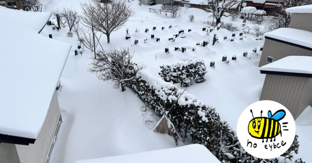 ぎんなんウェブ || 日蓮宗 隆光山 法永寺 || 青森県五所川原市