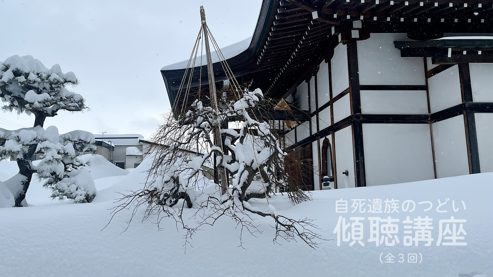 ぎんなんウェブ || 日蓮宗 隆光山 法永寺 || 青森県五所川原市