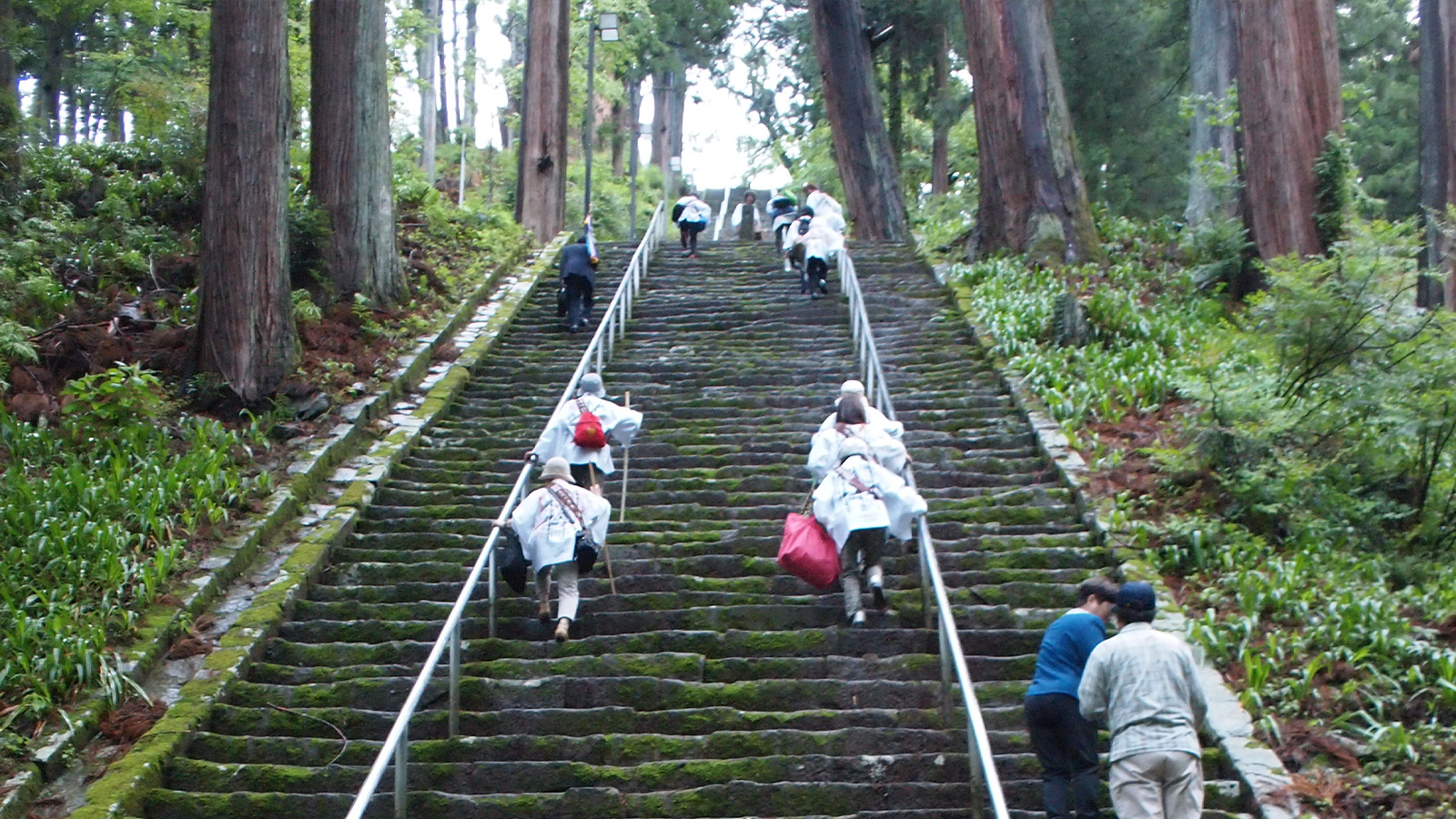 ぎんなんウェブ || 日蓮宗 隆光山 法永寺 || 青森県五所川原市