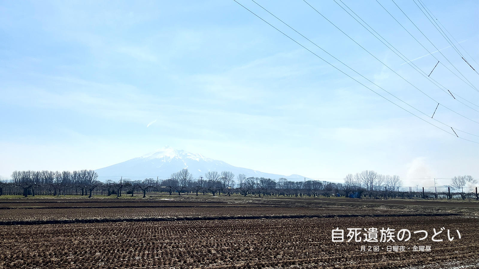 ぎんなんウェブ || 日蓮宗 隆光山 法永寺 || 青森県五所川原市