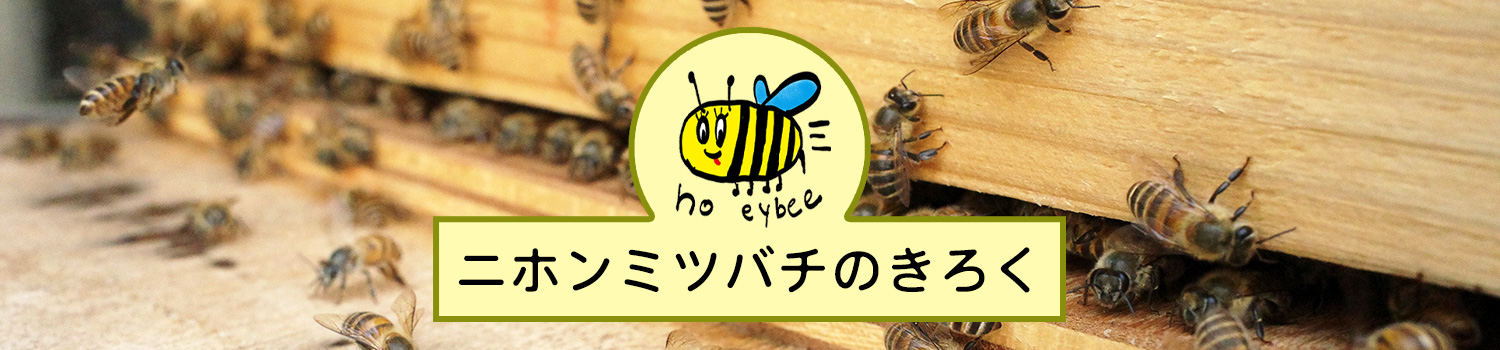 ぎんなんウェブ || 日蓮宗 隆光山 法永寺 || 青森県五所川原市