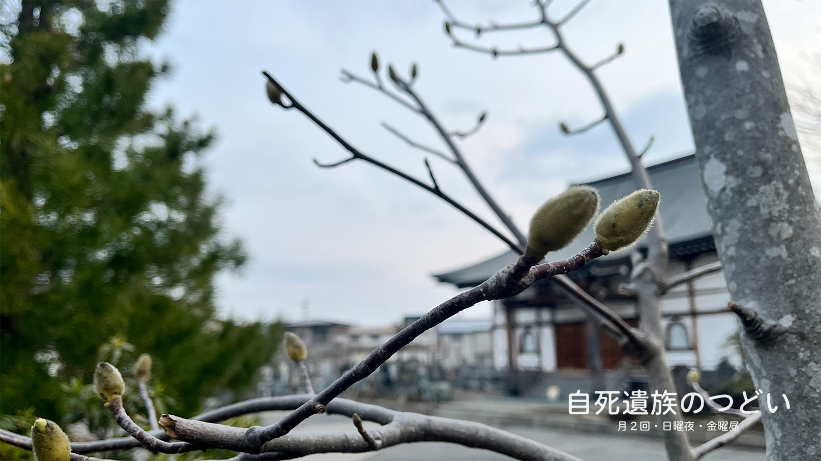 ぎんなんウェブ || 日蓮宗 隆光山 法永寺 || 青森県五所川原市